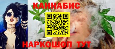 гашик Новодвинск