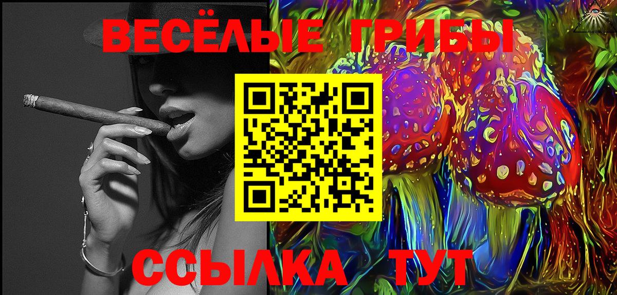 Чистополь  Галлюциногенные грибы Cubensis  Псилоцибиновые грибы мицелий  Вход с VPN 